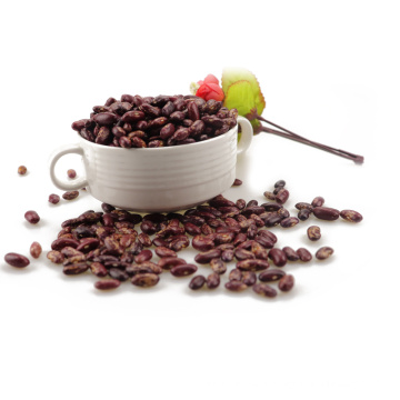 Hot Selling Offgrade Purple Speckled Kidney Beans With Best Price